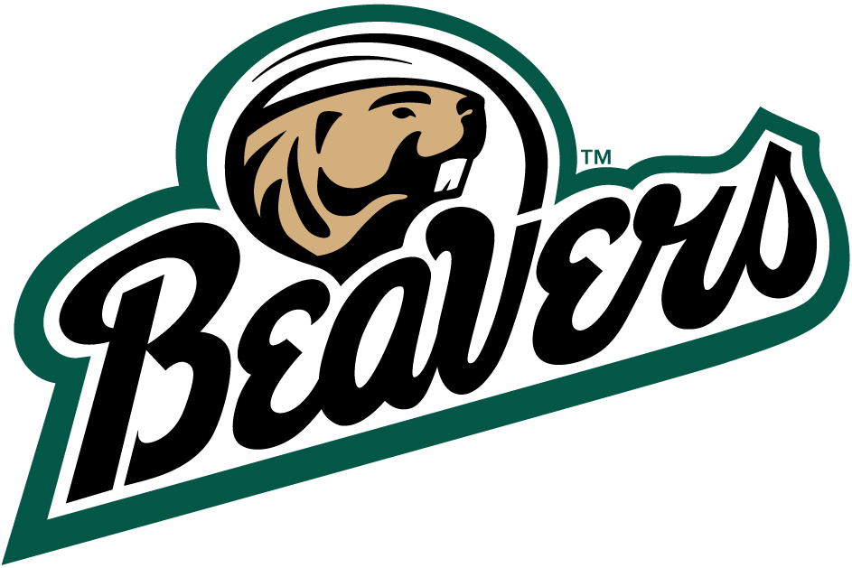 Bemidji State Beavers 2004-Pres Alternate Logo t shirts iron on transfers v2